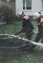 TH Sturmschaden - Einsatzbericht 15 - 1993 - 24.01.1993 17:00, Bad Doberan, Stadtgebiet, 45 min