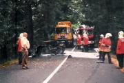 TH Verkehrsunfall - Einsatzbericht 103 - 1995 - 15.08.1995 06:00, Bad Doberan, Hohenfelde, 225 min