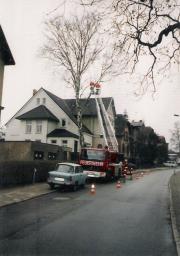 TH Baumbeseitigung - Einsatzbericht 16 - 1998 - 28.02.1998 10:00, Bad Doberan, Rostocker Strae, 60 min