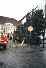 TH Baumbeseitigung - Einsatzbericht 116 - 2003 - 21.12.2003 09:30, Bad Doberan, Am Markt, 105 min