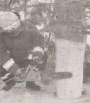 Ein Kamerad beim "anspitzen" des Tannenbaums - Tannenbume fielen zum Opfer