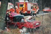 TH Verkehrsunfall - Einsatzbericht 22 - 1995 - 24.03.1995 16:50, B 105, OA Bargeshagen, 70 min