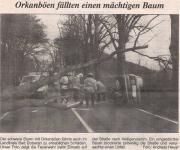 TH Verkehrsunfall - Einsatzbericht 25 - 1995 - 07.04.1995 18:00, Bad Doberan, Koch Kurve, 45 min