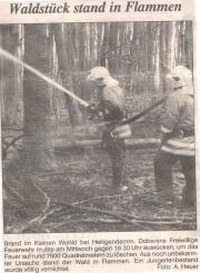 Brand Wald - Einsatzbericht 32 - 1996 - 17.04.1996 18:35, Seeheilbad Heiligendamm, , 115 min