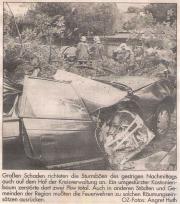TH Baumbeseitigung - Einsatzbericht 111 - 1997 - 09.09.1997 15:30, Bad Doberan, August-Bebel-Strae, 40 min