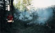 Brand Wald - Einsatzbericht 66 - 1997 - 11.06.1997 19:10, Glashagen, , 110 min
