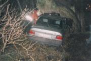 TH Verkehrsunfall - Einsatzbericht 1 - 1999 - 05.01.1999 23:20, Admannshagen, Richtung Lichtenhagen Dorf, 55 min