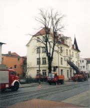 TH Baumbeseitigung - Einsatzbericht 18 - 2002 - 16.02.2002 09:00, Bad Doberan, Goethestrae, 300 min