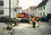 TH Baumbeseitigung - Einsatzbericht 18 - 2002 - 16.02.2002 09:00, Bad Doberan, Goethestrae, 300 min