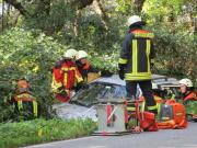 TH Verkehrsunfall - Einsatzbericht 104 - 2014 - 19.10.2014 11:45, Bad Doberan, L 12, Dammchaussee, 45 min