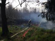 Brand dland - Einsatzbericht 21 - 2014 - 17.04.2014 15:15, Bad Doberan, Wasserwerk, 90 min