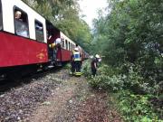 Bume unter dem Zug werden beseitigt - TH Baumbeseitigung - Einsatzbericht 190 - 2019 - 27.08.2019 16:30, Seeheilbad Heiligendamm, Mollistrecke, 65 min