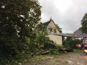 Ein massiver Baum war abgebrochen - TH Baumbeseitigung - Einsatzbericht 205 - 2019 - 10.09.2019 17:55, Bad Doberan, Kollbruchweg, 85 min