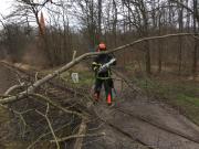 TH Baumbeseitigung - Einsatzbericht 37 - 2020 - 23.02.2020 07:55, Seeheilbad Heiligendamm, Khlungsborner Strae, 75 min