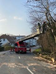 TH Baumbeseitigung - Einsatzbericht 13 - 2022 - 30.01.2022 05:30, Seebad Heiligendamm, Kühlungsborner Straße, 120 min