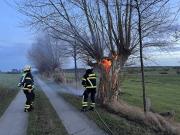 Brand Baum - Einsatzbericht 2 - 2023 - 01.01.2023 16:00, Vorder Bollhagen, Doberaner Landweg, 85 min