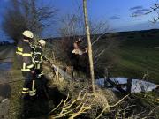 Brand Baum - Einsatzbericht 2 - 2023 - 01.01.2023 16:00, Vorder Bollhagen, Doberaner Landweg, 85 min