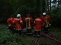 Übung Waldbrandbekämpfung 2004 