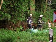 (c) Andreas Meyer, Weil der Wagen auf eine andere Person zugelassen war, durchsuchten die Feuerwehren den naheliegenden Wald nach einem möglichen weiteren Opfer. - OZ: 20-Jähriger stirbt bei Unfall nahe Bad Doberan